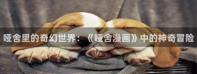 香蕉漫画免费下拉式