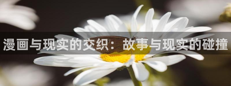 香蕉文化免费读漫画的网站