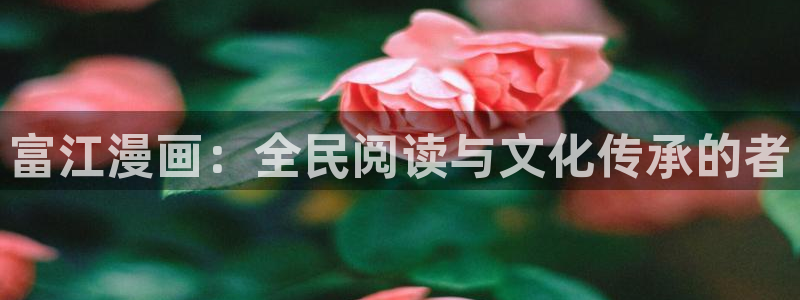 香蕉漫画网页入口