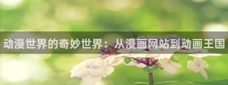 香蕉漫画网页版