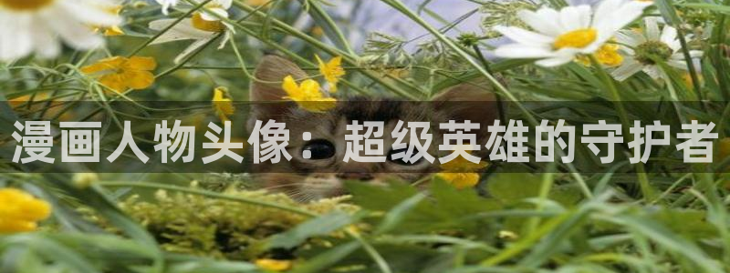香蕉文化漫画免费阅读平台