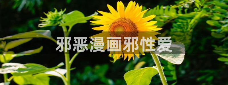香蕉漫画破解版