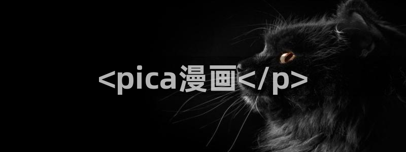 香蕉文化——漫画小说更新快,内容更