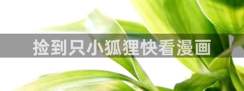 香蕉漫画下拉式观看
