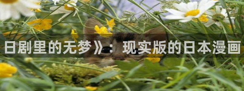 香蕉文化漫画网站入口