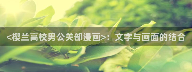 香蕉文化漫画免费阅读平台：<樱兰高校男公关部漫画>：文字与画面的结合