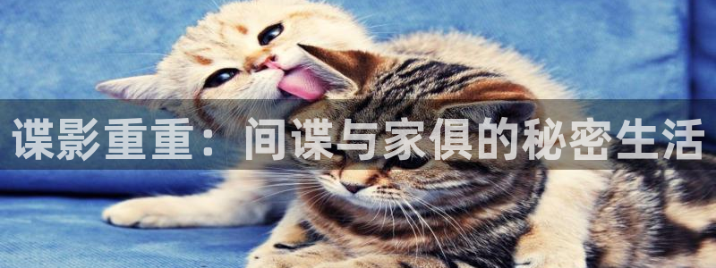香蕉漫画免费漫画入口页面：谍影重重：间谍与家俱的秘密生活