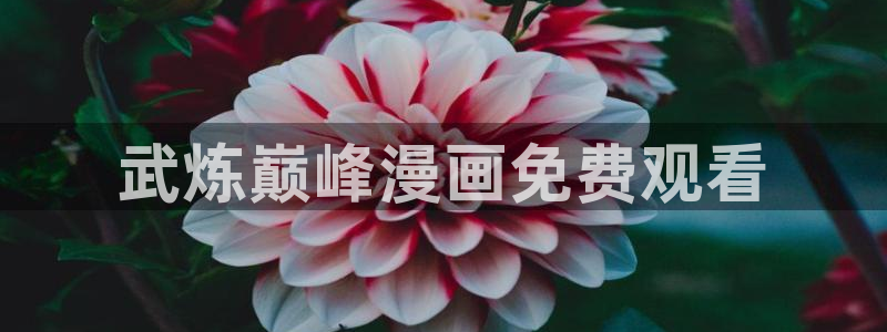 香蕉漫画书阅读下拉式2025：武炼巅峰漫画免费观看