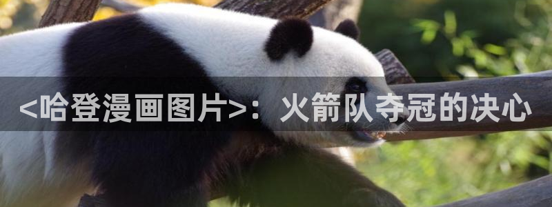 香蕉漫画页面：<哈登漫画图片>：火箭队夺冠的决心