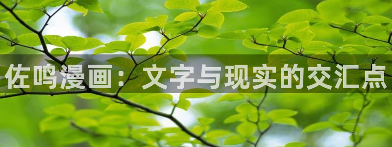香蕉漫画韩国：佐鸣漫画：文字与现实的交汇点