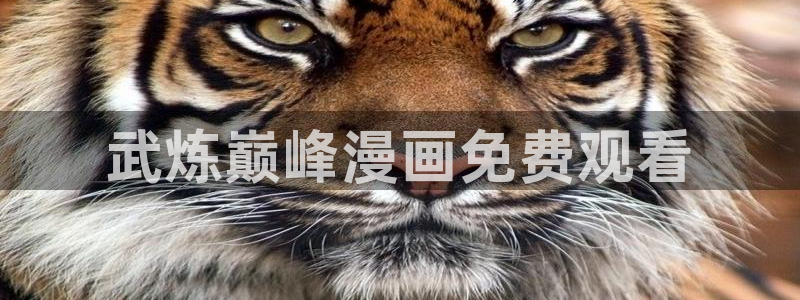 香蕉文化漫画观看：武炼巅峰漫画免费观看