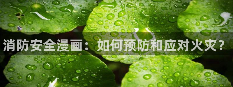 香蕉漫画直接进入：消防安全漫画：如何预防和应对火灾？