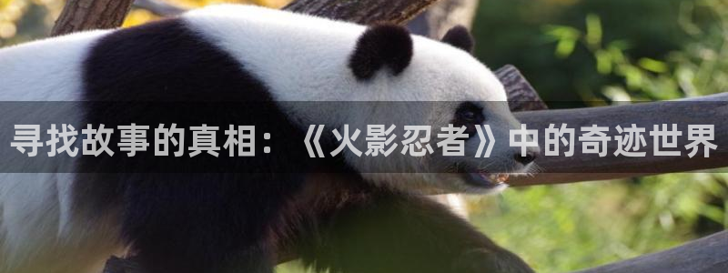 香蕉文化漫画下载：寻找故事的真相：《火影忍者》中的奇迹世界